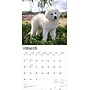 2026 BrownTrout Great Pyrenees 12" x 12" Monthly Wall Calendar (9798330703531)~#|#~C15B39B8-152D-441C-80D9EFCC9EE5A41E_sc7