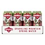 Arrowhead Lime Prickly Pear Flavored Sparkling Spring Water 12 oz., 24 Cans/Carton (19990630)~#|#~C15BEA89-F22F-425B-9659F4E875A4B93D_sc7