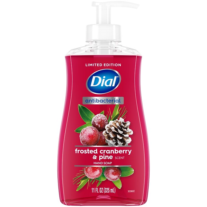 Dial Antibacterial Limited Edition Liquid Hand Soap, Frosted