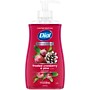 Dial Antibacterial Limited Edition Liquid Hand Soap, Frosted Cranberry & Pine Scent,  11 oz. (1700035953)~#|#~C16A7F58-87C8-47C1-B197C411456278C1_sc7