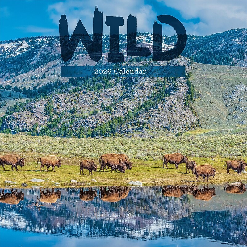 2026 TF Publishing Wild 12" x 12" Monthly Wall Calendar, Multi (26-1032) image 1