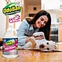 OdoBan Pet Solutions Floor Cleaner, Citrus Scent, 1 Gallon (9361B61-G4)~#|#~C197A938-2F0D-474A-AF882569FDD533EB_sc7
