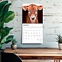 2026 BrownTrout Baby Moo Moos 12" x 12" Monthly Wall Calendar (9798330702282)~#|#~C1AC0217-3AFF-4E13-B43CC4E06A0F4F40_sc7