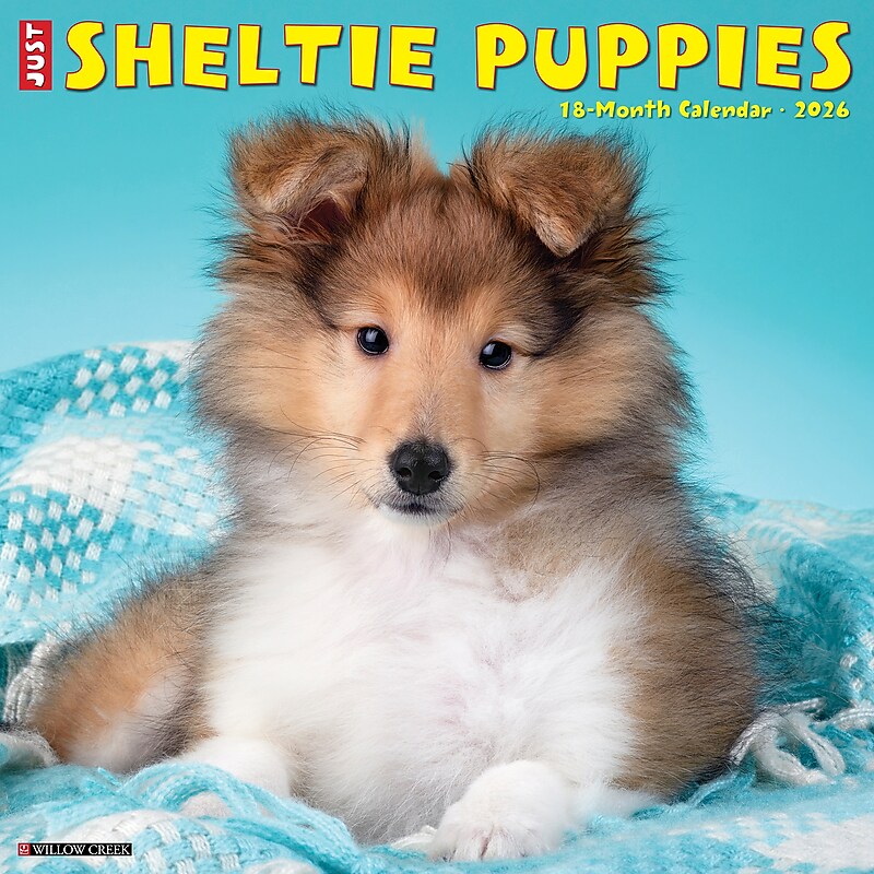 2026 Willow Creek Sheltie Puppies 12" x 12" Monthly Wall Calendar (52754) image 1