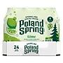 Poland Spring Lime Sparkling Purified Water, 16.9 oz., 24/Carton (12349570/122058)~#|#~C1BAF16D-F87B-4563-BDF50FE459A25D3C_sc7
