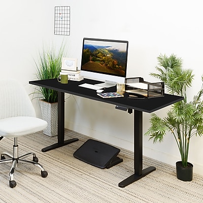 Mount-It! 55"W Electric Rectangular Adjustable Standing Desk