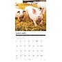 2027 Willow Creek Around the Farm 12" x 12" Monthly Wall Calendar, Assorted Colors (65099)~#|#~C1EEB9C2-7C69-4EFA-B8C786E07A95C0A6_sc7