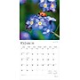 2026 BrownTrout Wildflowers 12" x 12" Monthly Wall Calendar (9798330706365)~#|#~C1F82461-7A02-49C3-B45085632BBBA841_sc7