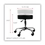 Alera Height Adjustable Lab Stool, Backless, Up to 275 lb, Black Seat, Chrome Base (ALEUS4716)~#|#~C1FBF6F3-01AC-4A58-851C4FD73AF9876C_sc7