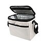Arctic Zone Collapsible Lunch Box Caddy, Gray, 4.8 oz. (10003207)~#|#~C20FFFFA-9518-4CF9-A59426EF34E49BC8_sc7
