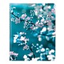 2027 Brownline Nature Cherry Blossoms 8.5" x 11" Weekly Appointment Book (CB950G.03-27)~#|#~C21CBD55-BAD2-4293-8F68405586DD70C4_sc7