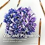 Lyra Rembrandt Professional Colored Pencils, Assorted Colors, 13/Set (LYXL2001120)~#|#~C225F46E-3993-4348-8BDE8041E263BB2F_sc7