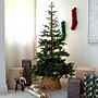 Nearly Natural 6' Pre-Lit Artificial Idaho Mixed Fir Christmas Tree with 130 Warm White LED Lights (T4791)~#|#~C22C5914-F749-4CCC-A63AAACAA66C098C_sc7