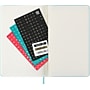 2025-2026 Moleskine Planners 5" x 8.25" Academic Weekly Planner, Leather Cover, Aquamarine (DHB2418WN3Y26)~#|#~C260A2A0-9A99-4E23-BC2DD9F1B616D443_sc7