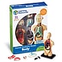 Learning Resources Human Body Anatomy Model (LER3336)~#|#~C2971426-38E0-4632-872C4C0FC80B8CBD_sc7