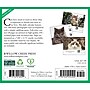 2026 Willow Creek What Cats Teach Us 6.2" x 5.4" Day-to-Day Calendar (54505)~#|#~C2BDCA71-DE30-4408-8028797391553A30_sc7