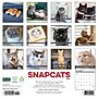 2027 Willow Creek Snapcats 12" x 12" Monthly Wall Calendar, Assorted Colors (62401)~#|#~C2C4C319-DD97-4776-90C4239D10320A3B_sc7