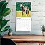 2026 BrownTrout Quarter Horses 12" x 12" Monthly Wall Calendar (9798330705290)~#|#~C2D17630-8A3D-4537-BB9214099FAB9EF6_sc7