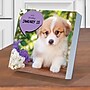 2027 TF Publishing Dog A Day 5.25" x 5.25" Daily Day-to-Day Calendar, Multicolored (27-3008)~#|#~C2DEABCD-B68A-417B-99207155C956CF59_sc7