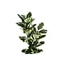 Monarch Specialties Inc. 47" Artificial Oak Tree in Pot (I 9544)~#|#~C2E7A758-6FD5-4B17-B3765A3D357C2FE7_sc7