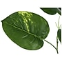 Monarch Specialties Inc. Dieffenbachia Tree in Pot (I 9519)~#|#~C2EA1256-1768-46A3-A42329D24F034C24_sc7