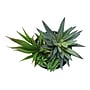 Monarch Specialties Inc. 7" Artificial Succulent Plant in Pot, 2/Set (I 9554)~#|#~C2EBC3B9-B3C5-4AC7-AEC021D84E9D636A_sc7