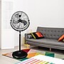Vie Air Industrial 20" Pedestal Fan, 3-Speed, 3-Speed, Black (93896360M)~#|#~C2F0BF53-EE16-4CF4-B6AF70BFBD3B6AF5_sc7