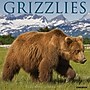2027 Willow Creek Grizzlies  12" x 12" Monthly Wall Calendar (60575)~#|#~C3215ADE-7C3F-4930-886E0FFD48BC670D_sc7
