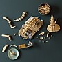 LEGO Jurassic World Dinosaur Fossils: Triceratops, 1154 Pieces (77985)~#|#~C33110F6-F281-45E8-9659B76F9C97EC85_sc7