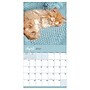 2027 TF Publishing Cat Dreams 12" x 12" Monthly Wall Calendar (27-1003)~#|#~C3389058-0B90-4DA5-92664CDE500406F5_sc7