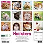 2027 Willow Creek Hamsters 12" x 12" Monthly Wall Calendar (60612)~#|#~C350958C-E4A5-45EB-ACF340C83B2B921F_sc7
