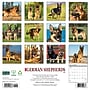 2027 Willow Creek German Shepherds 12" x 12" Monthly Wall Calendar, Assorted Colors (60377)~#|#~C362AE17-79D3-4E41-991D85B0EC3AB383_sc7