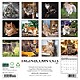 2027 Willow Creek Maine Coon Cats 12" x 12" Monthly Wall Calendar, Assorted Colors (61121)~#|#~C3748F71-021B-419E-942F90842A08B930_sc7