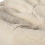 Flash Furniture Dillon Faux Sherpa Refillable Bean Bag Chair, Natural (DGBEANSMSHRPNAT)~#|#~C376A11B-BBB0-4EE0-A9D794B099E30D8C_sc7