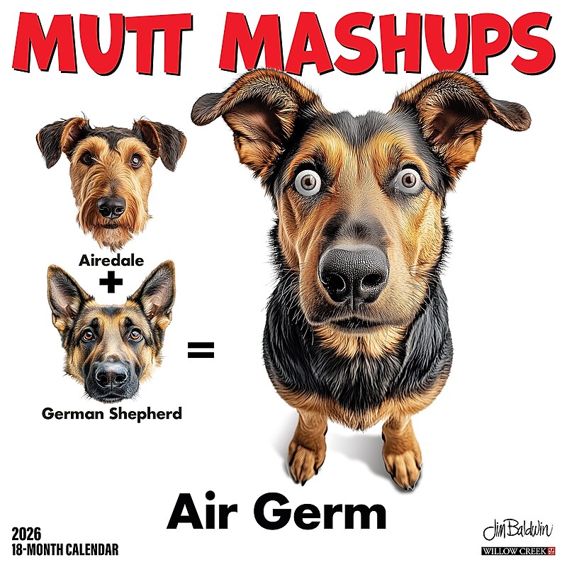 2026 Willow Creek Mutt Mashups 12" x 12" Monthly Wall Calendar (55984) image 1