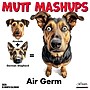 2026 Willow Creek Mutt Mashups 12" x 12" Monthly Wall Calendar (55984)~#|#~C377BB2A-19A6-4865-B3C4FA1B9F89D7F1_sc7