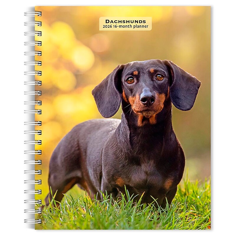 2026 BrownTrout Dachshunds 6.5" x 7.75" Weekly Planner (9798330703104) image 1