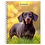 2026 BrownTrout Dachshunds 6.5" x 7.75" Weekly Planner (9798330703104)~#|#~C37C0E3C-4174-470E-88B9B529B4EC455C_sc7