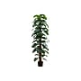 Monarch Specialties Inc. 83" Artificial Monstera Tree in Pot (I 9521)~#|#~C3D1C043-DA2D-4531-98510CBDE2239B04_sc7