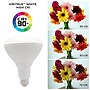Viribright BR40 16 Watts Cool White LED Flood & Spot Bulb, 4/Pack (654655)~#|#~C3EEE492-DC06-454A-9464233C6ACA707B_sc7