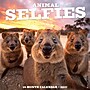 2027 Willow Creek Animal Selfies 12" x 12" Monthly Wall Calendar, Assorted Colors (58800)~#|#~C42D0613-5436-4B32-AA0E873611238C07_sc7