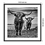 Amanti Art Highland Cow Couple by Stephane Pecqueux Wood Framed Wall Art Print, 33" x 33" (A42677163164)~#|#~C4322993-77E9-4695-A06242A7F6C60225_sc7