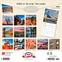 2026 BrownTrout Nevada Wild & Scenic 12" x 12" Monthly Wall Calendar (9798330704828)~#|#~C4432B5F-CD1C-48CB-B247BCE2B38D366D_sc7