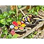 Yellow Door Sensory Play Stones World Kitchen, Assorted Colors (YUS1244)~#|#~C447AA6F-A7DC-49FC-B7F29A7F5AB1E49B_sc7