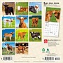 2027 BrownTrout Baby Moo Moos 7" x 7" Monthly Wall Calendar, Assorted Colors (9798330709779)~#|#~C45C3831-4C1D-462F-A728AEC59844B110_sc7