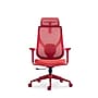 Raynor Group Torque Ergonomic Fabric/Mesh Swivel Manager Chair, Red (TORQUE-RED)~#|#~C45CCC87-AED4-4FE2-9F084C7B6DDE1C5A_sc7