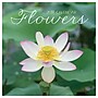 2027 TF Publishing Flowers 7" x 7" Monthly Wall Calendar, Multicolored (27-2014)~#|#~C4674BE0-56CC-4ADF-B1FC20379EA9F9A8_sc7