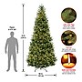 National Tree Company Natural Fraser Fir Artificial Christmas Trees NAFFSLH1-100LO~#|#~C4688B4B-F62E-44A6-B13D7F25E29D2E3C_sc7