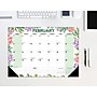 2026 Willow Creek Succulents 17" x 12" Monthly Desk Pad Calendar (57162X)~#|#~C46FCC9F-1BEE-48D8-85FE63F131928605_sc7