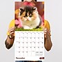 2027 TF Publishing Kittens 12" x 12" Monthly Wall Calendar (27-1013)~#|#~C47F897E-1CDB-4159-9F24850CDCA99AA0_sc7